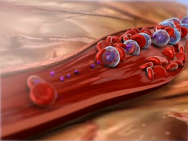 Blood Pressure Arteries Veins Blood Vessels