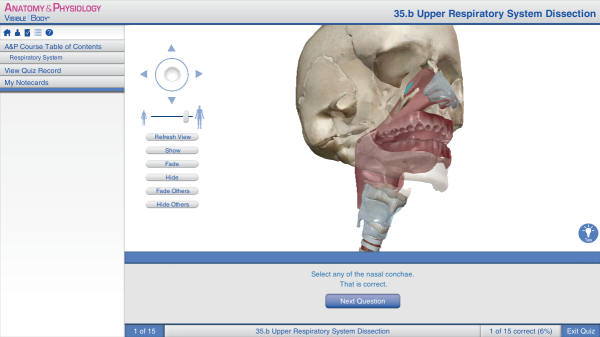upper respiratory olfaction nasal cavity conchae smelling