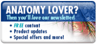 visible body newsletter, visible body content
