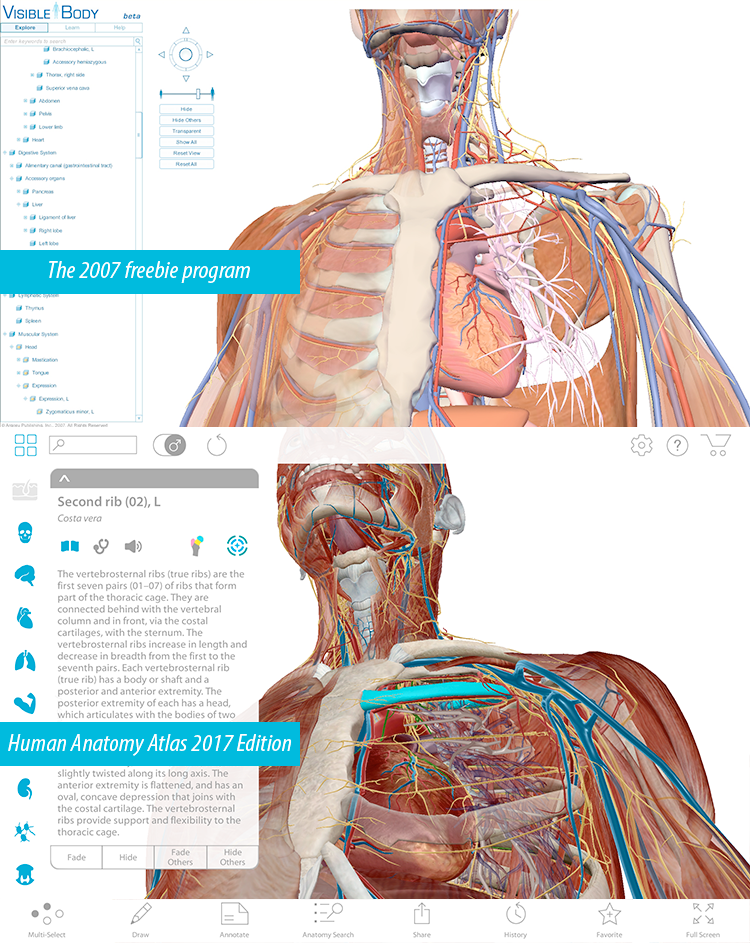 human anatomy atlas for pc free download